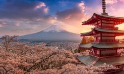 Japonsko